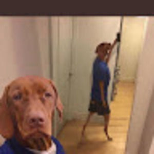 Meet your Posher, Dylan